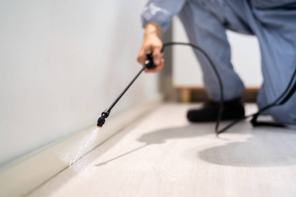 Licensed Termite Control service in Albemarle County County, VA - Nex Pest Control