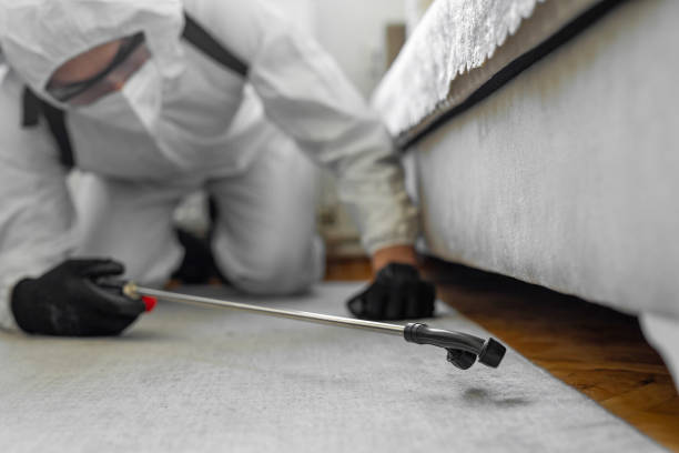 Professional Termite Control technician working in Albemarle County County, VA